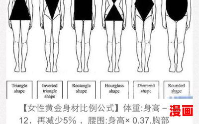 黄金比例是多少(免费阅读)小说全文阅读无弹窗-黄金比例是多少最新章节列表