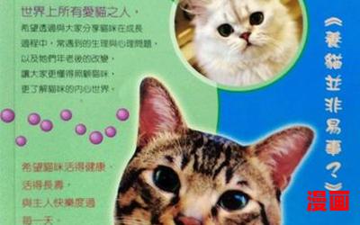 养猫指南免费阅读大结局-养猫指南在线阅读完整版